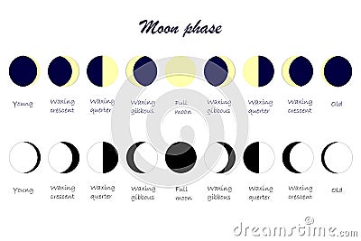 Moon cycle scheme. Everything moon phases yang waxing crescent waxing quarter waxing gibbous full moon old s Vector Illustration